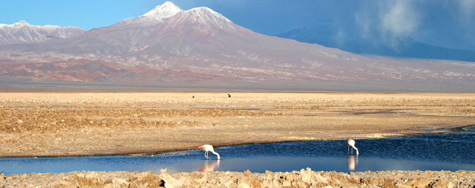 Trails of Atacama Desert